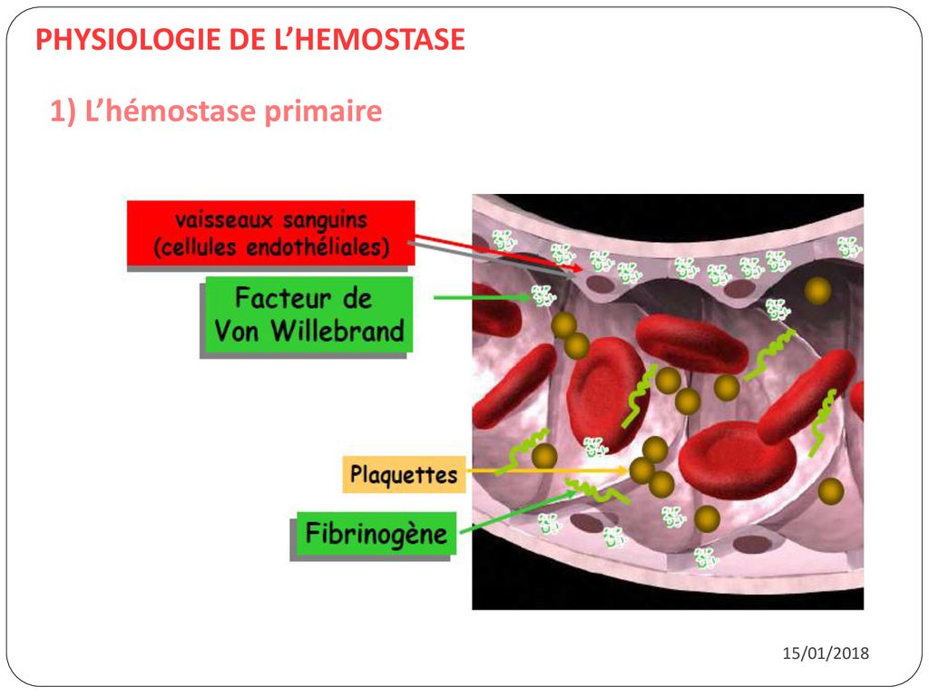 Les médicaments de lhémostase ppt télécharger